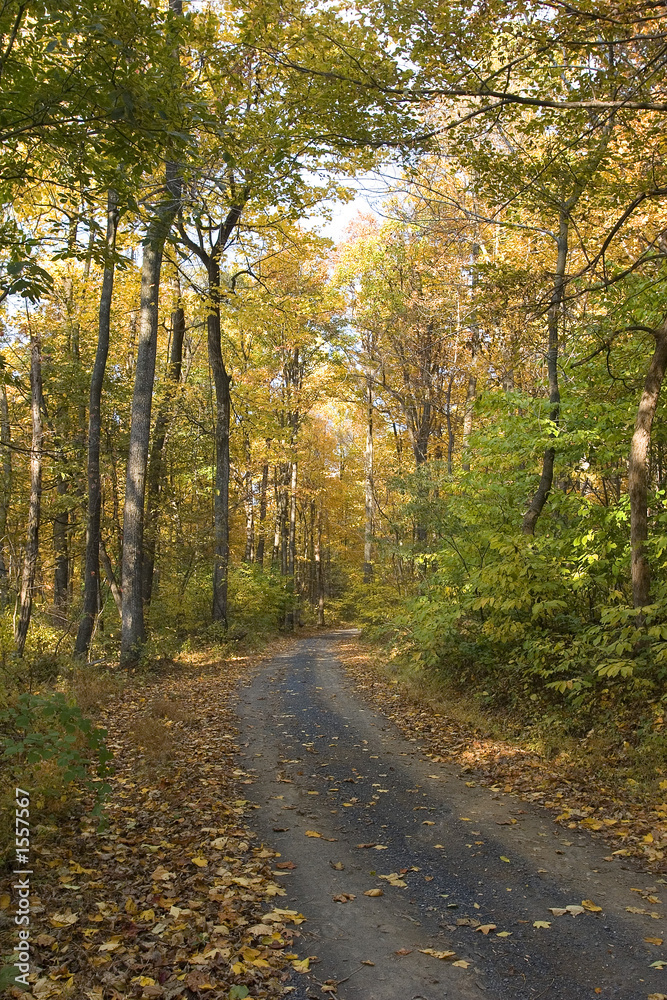 fall fall
