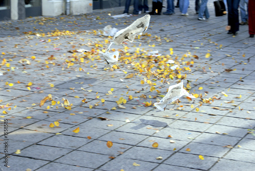 wind