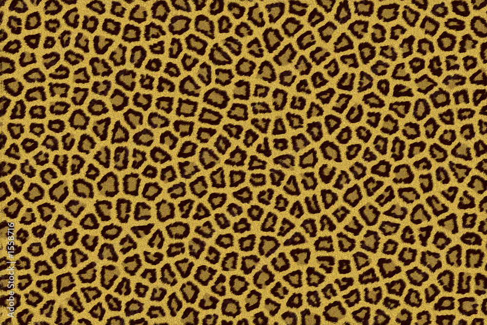 leopard fell fur