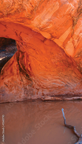 arches national park
