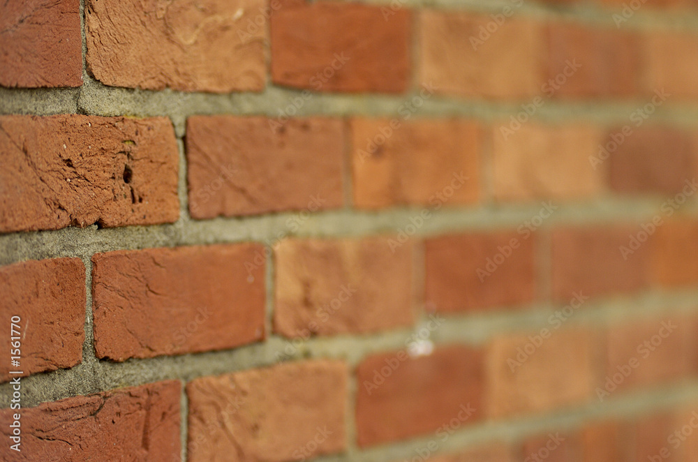 Fototapeta premium brick wall