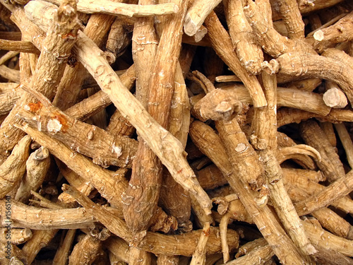 ginseng roots from chinese herbal pharmacy photo