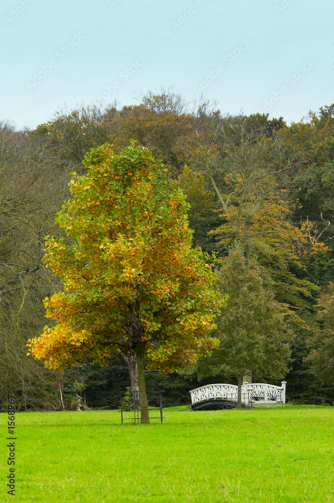 autumn in the park autumn in the park