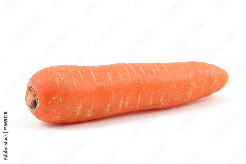 carrot carrot