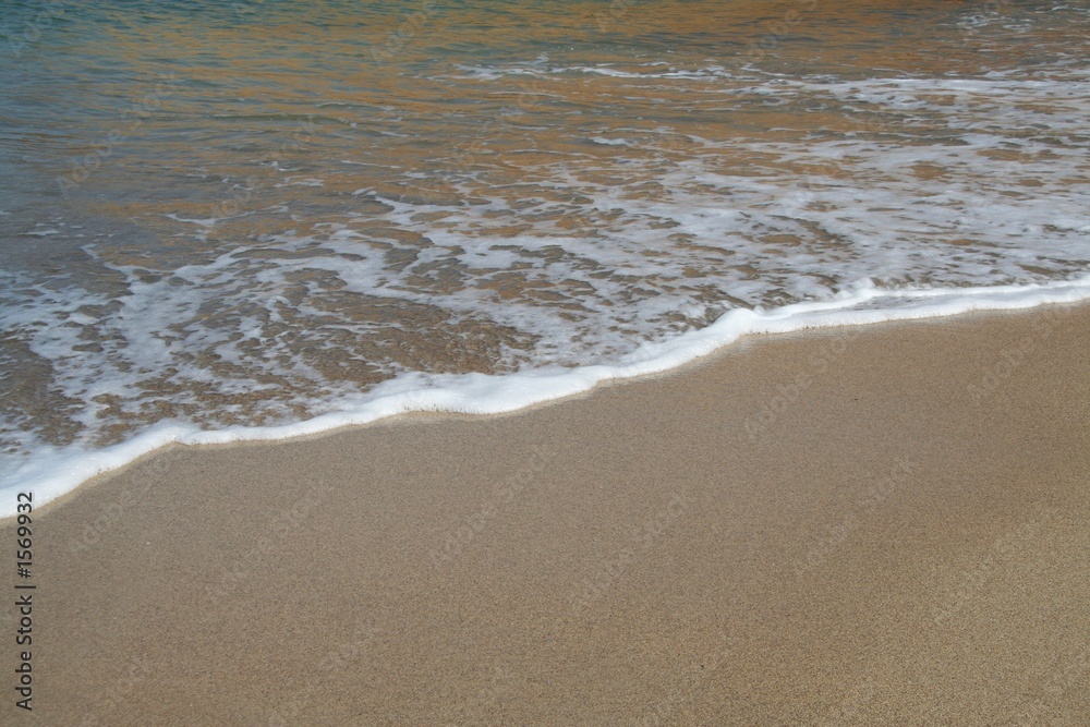 wave wave