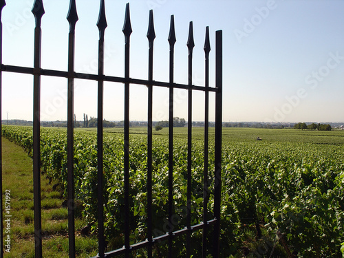 grille ouverte sur des vignes