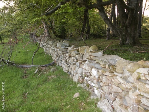 dry stone wall in woods