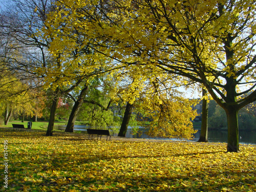 amsterdam park in autumn