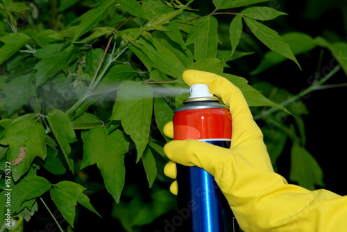 pesticiding garden