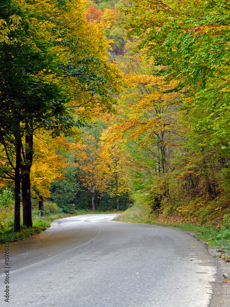 Obraz premium magic path