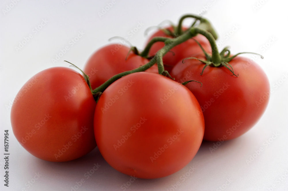 tomatoes on white endless background. tomatoes on white endless background.