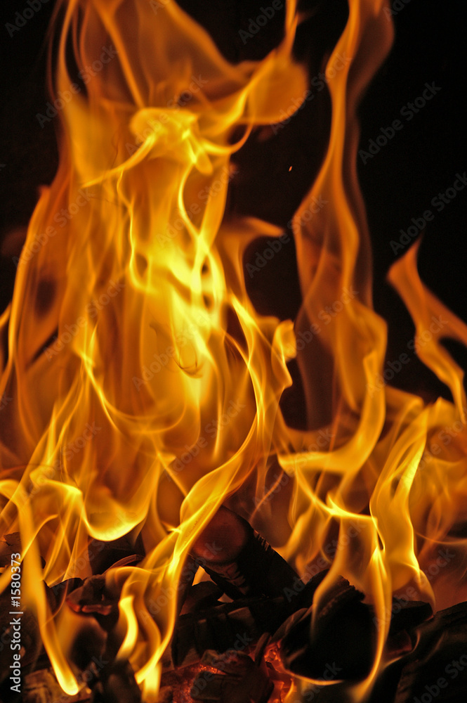 Fototapeta premium flammen #0113
