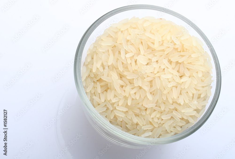 rice rice