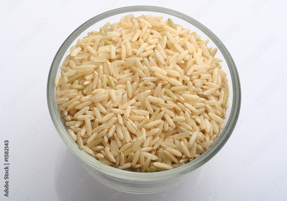 rice rice