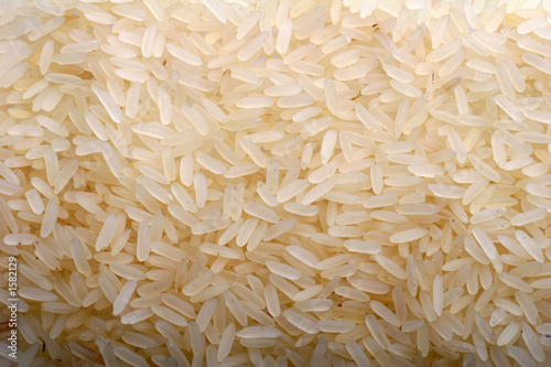 rice background