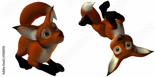 Fotografie sir guy the fox