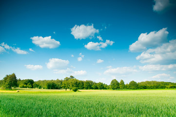 Fotobehang Zomer Zomers landschap met groene heuvels  © Fatman73