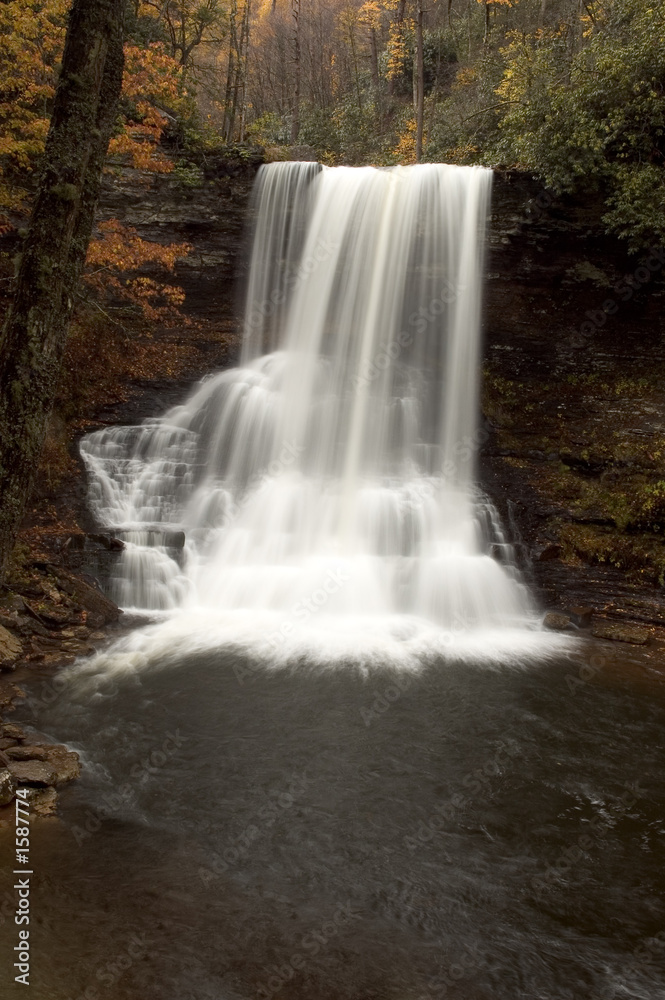 Obraz premium forest waterfall