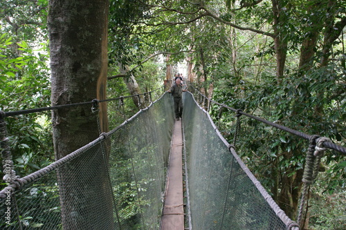 passage suspendu canopée