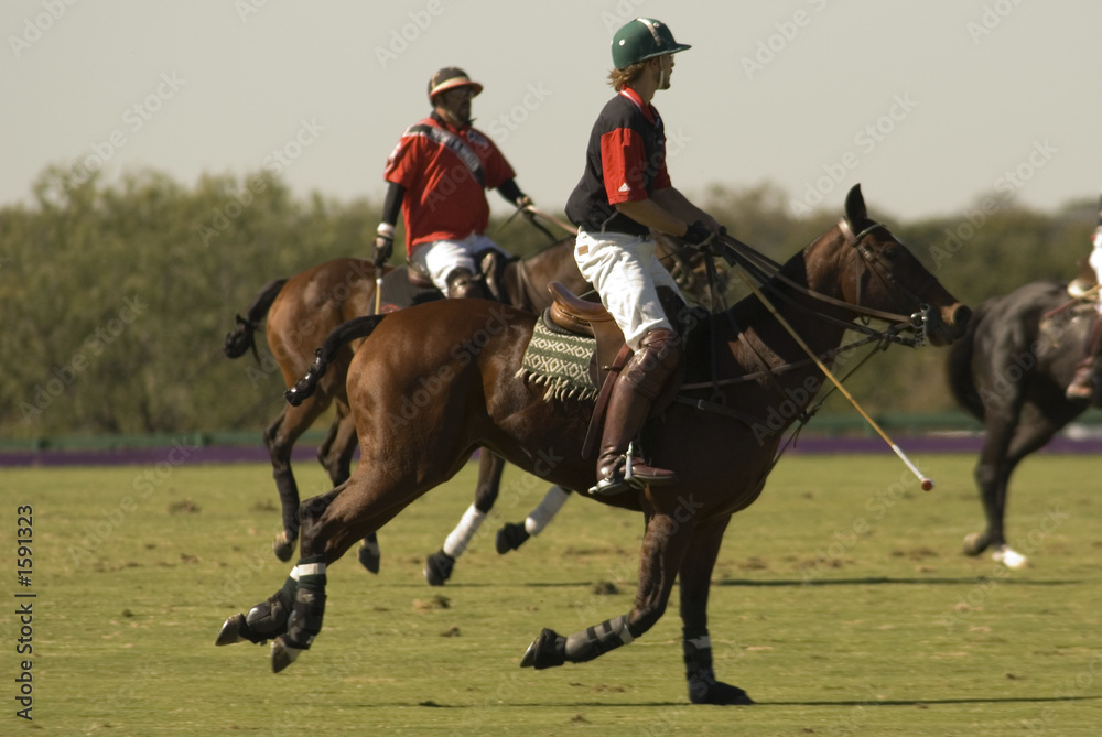 texas polo match texas polo match