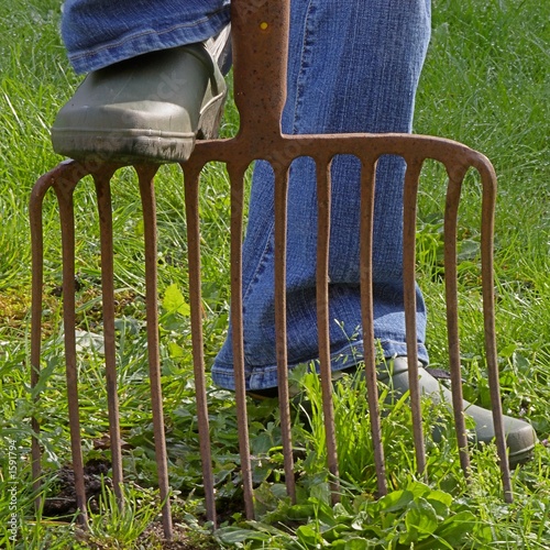 jardinage