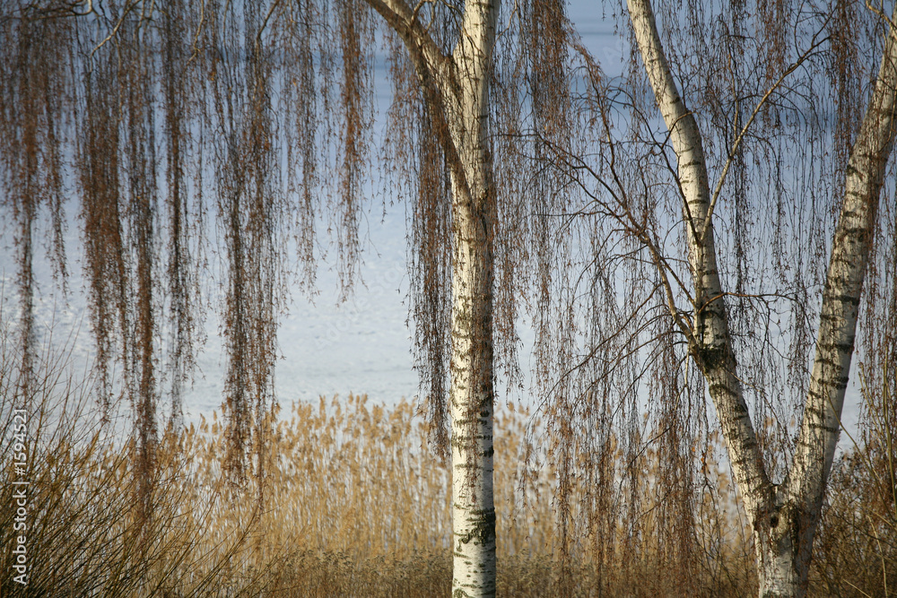 winter lake winter lake