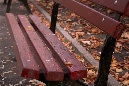 dark red bench in the park