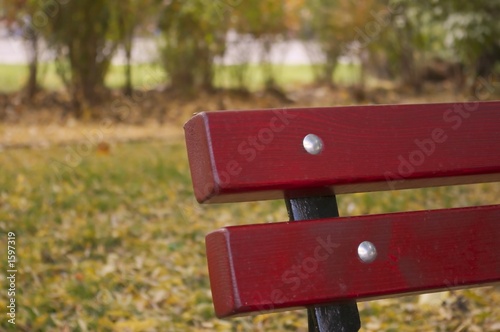 dark brown bench in the park