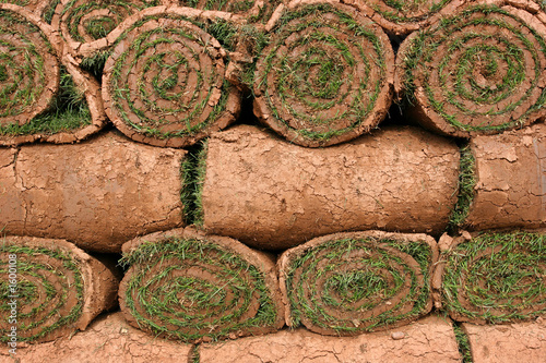 rolls of turf photo