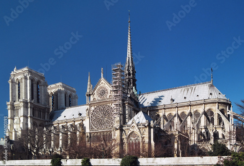 notre dame d'paris