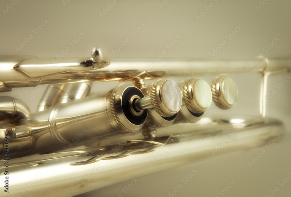 Obraz premium trumpet 1