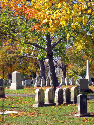 cemetery in autumn 8