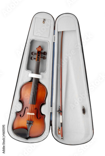violin in a case