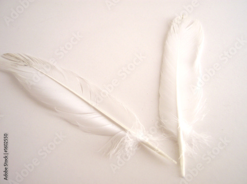 two feathers