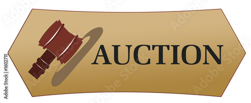 auction icon