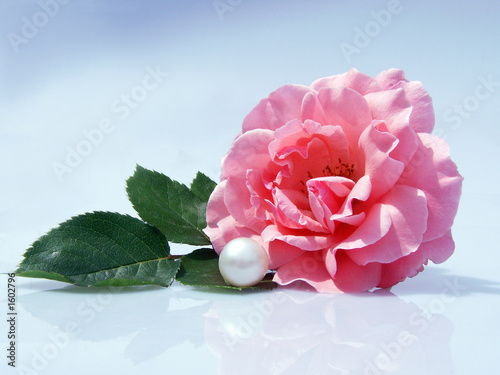 perlenblüte