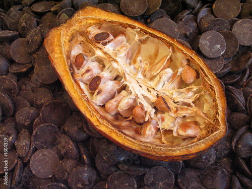 demi-cabosse cacao & pastilles chocolat noir