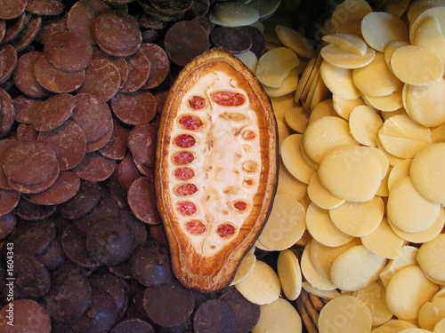 demi-cabosse cacao sur chocolat n&b
