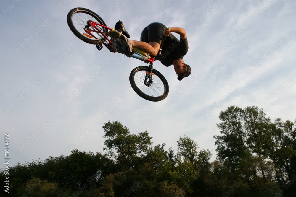 Obraz premium front flip