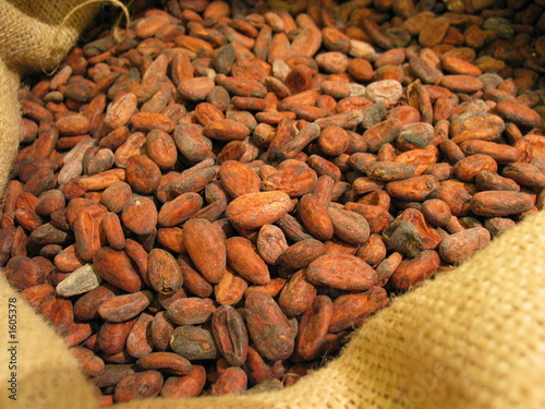 fèves de cacao & sac de jute