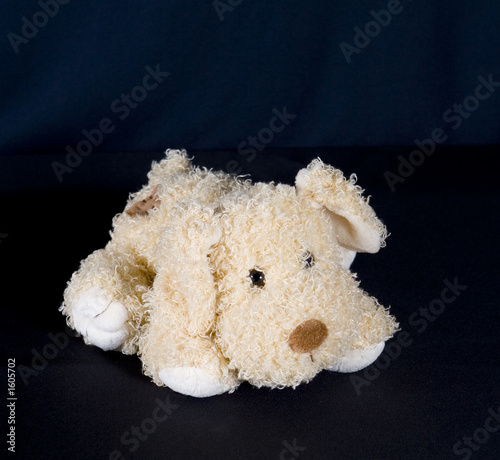 peluche
