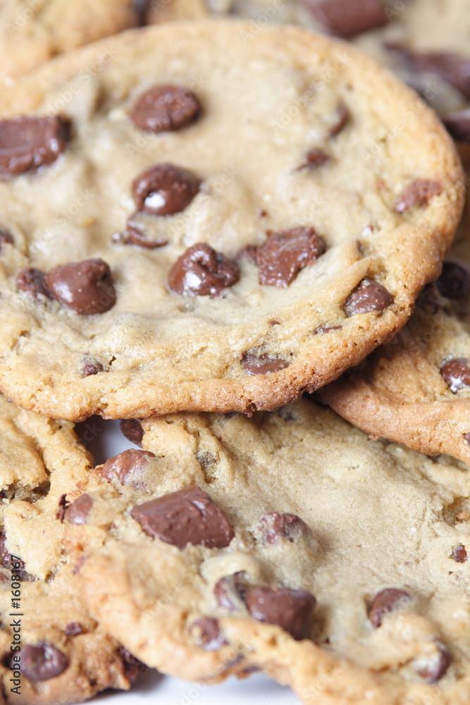 chocolate chip tollhouse cookies chocolate chip tollhouse cookies