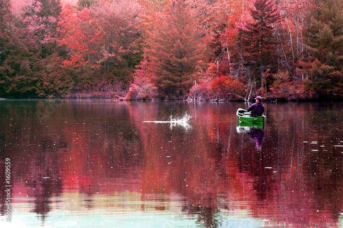 fly fishing