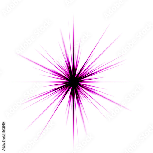 lilac star isolated on white