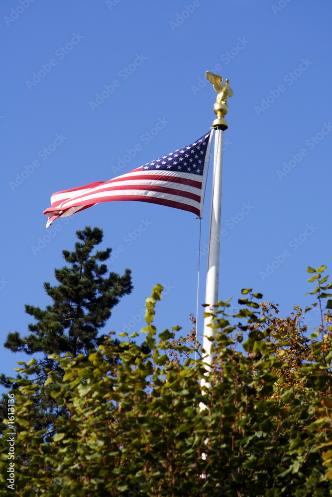 Fototapeta premium drapeau américain
