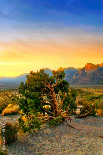 Canvas Print red rock canyon, nevada