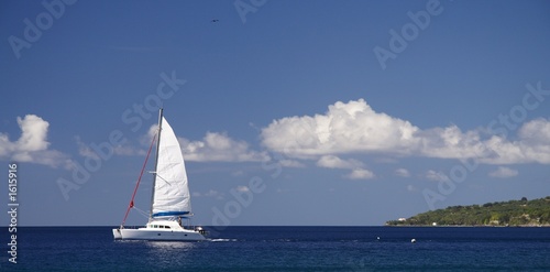 Tableau sur toile caribbean cruising
