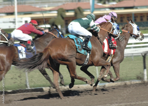 race horses & jockeys
