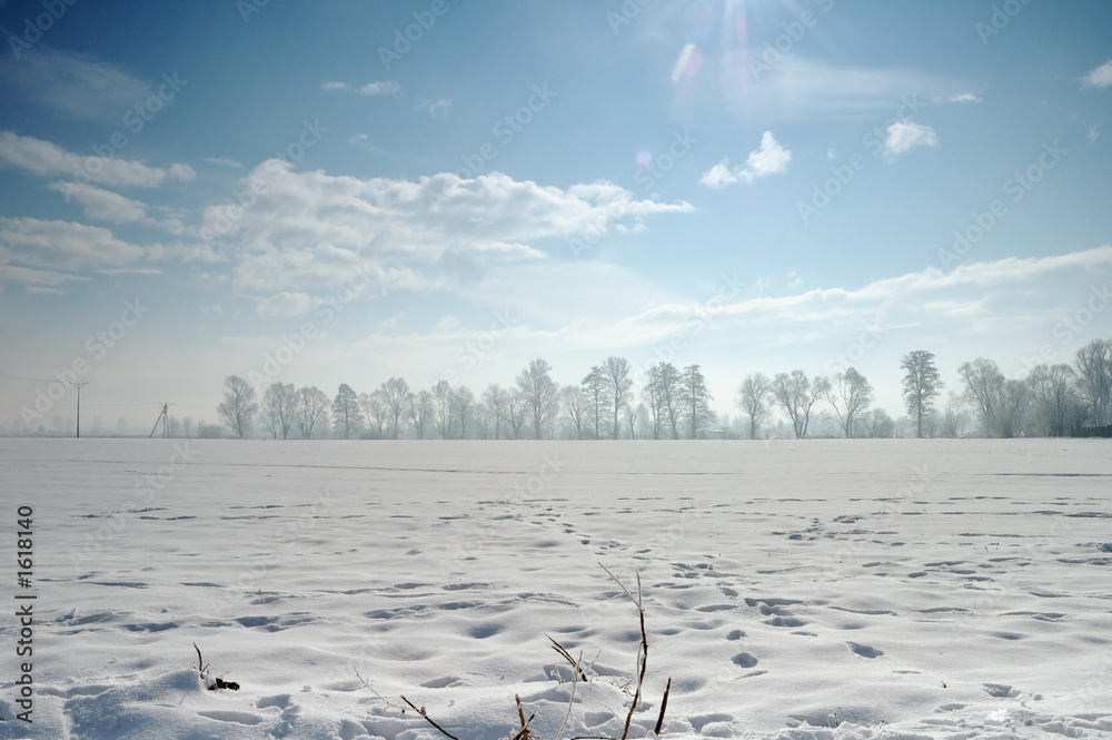 Naklejka premium winter