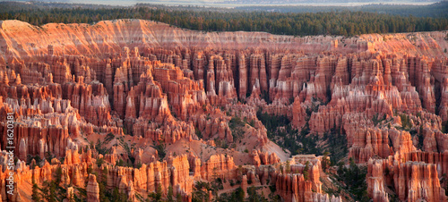 bryce canyon amphitheater - panoramic